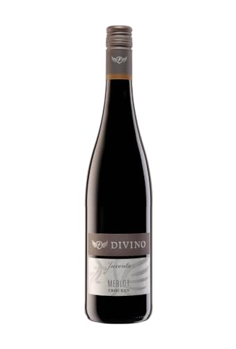 DIVINO JUVENTA Rotwein Merlot trocken QbA 2022 (0,75 l) - Frankens Feine Weine von DIVINO