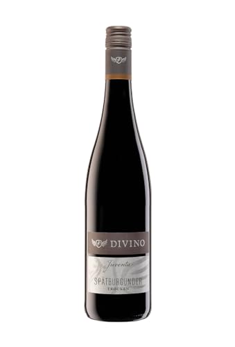 DIVINO JUVENTA Rotwein Spätburgunder trocken QbA 2020 (0,75 l) - Frankens Feine Weine von DIVINO