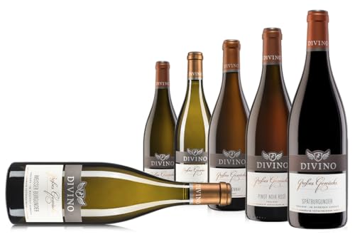 DIVINO Großes Gewächs Premiumwein Probierpaket - Chardonnay, Sauvignon Blanc, Spätburgunder, Pinot Noir Rosé, Silvaner, Weißer Burgunder - Qualitätsweine direkt aus den Weinbergen Frankens (6 x 0,75l) von DIVINO