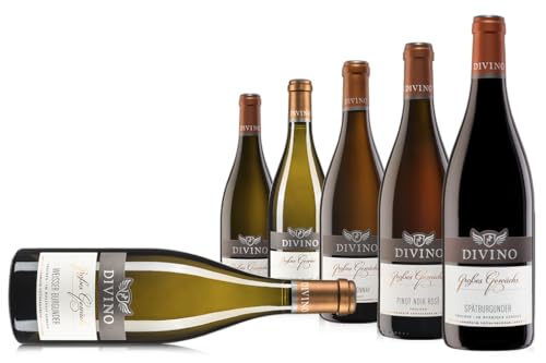 DIVINO Großes Gewächs Premiumwein Probierpaket - Chardonnay, Sauvignon Blanc, Pinot Noir, Pinot Noir Rosé, Silvaner, Weißer Burgunder - Qualitätsweine direkt aus den Weinbergen Frankens (6 x 0,75l) von DIVINO