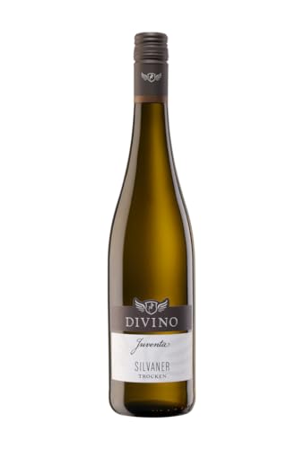 DIVINO JUVENTA Weißwein Silvaner trocken QbA 2022 (0,75 l) - Frankens Feine Weine von DIVINO