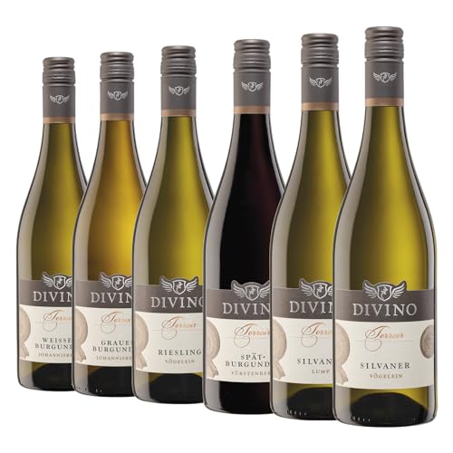 DIVINO Terroir Frankenwein Probierpaket - Silvaner, Riesling, Weiß-, Grau-, und Spätburgunder - Qualitätsweine direkt aus den Weinbergen Frankens (6 x 0,75l) von DIVINO