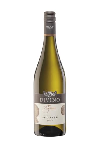 DIVINO Terroir Weißwein Silvaner trocken QbA 2022 (0,75 l) - Lage: Escherndorfer Lump - Frankens Feine Weine von DIVINO