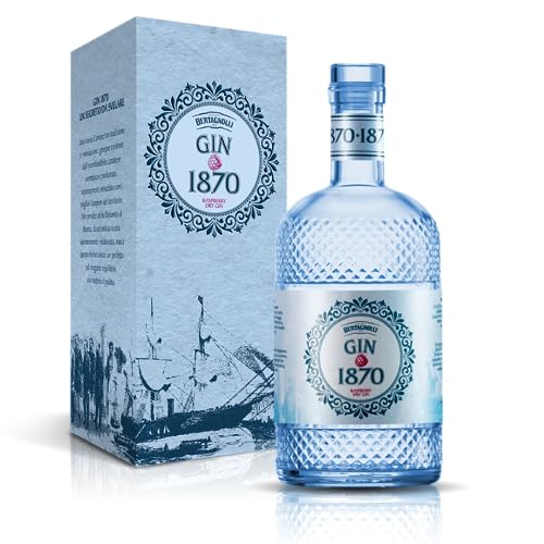 Bertagnolli Raspberry Gin – Fruchtig-frischer Himbeer Gin aus Italien – 700 ml – 38% Vol. – In edler Geschenkbox – Erfrischend anders & aromatisch von DOLOMITI ALPENFEINKOST