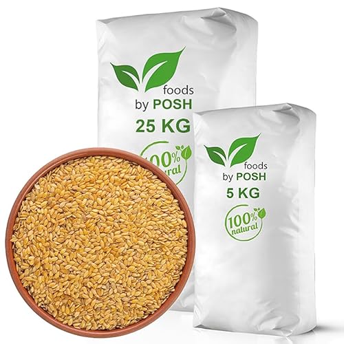 30kg Leinsamen Gold Leinsaat Gelb Musli Backen 30 kg von DTP-SOFT