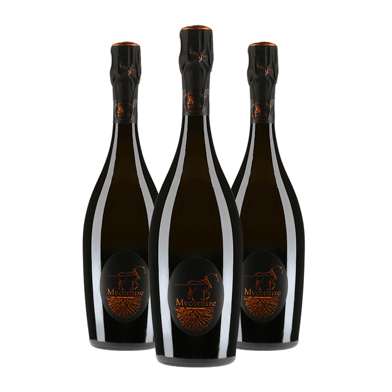 De Sousa : Cuvée Mycorhize De Sousa : Cuvée Mycorhize von De Sousa