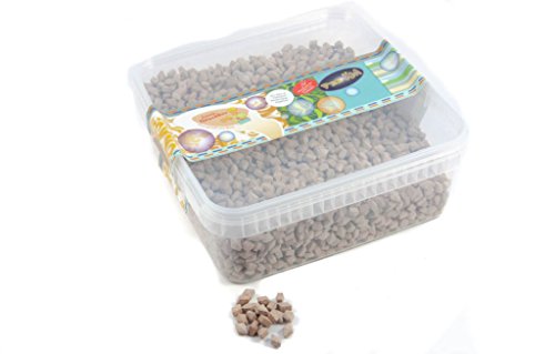 Deine Naschbox - Pectoral Lakritz Diamanten - 1 kg Süßigkeiten Box - XL Großpackung - Angenehm mild-aromatisch von Deine Naschbox