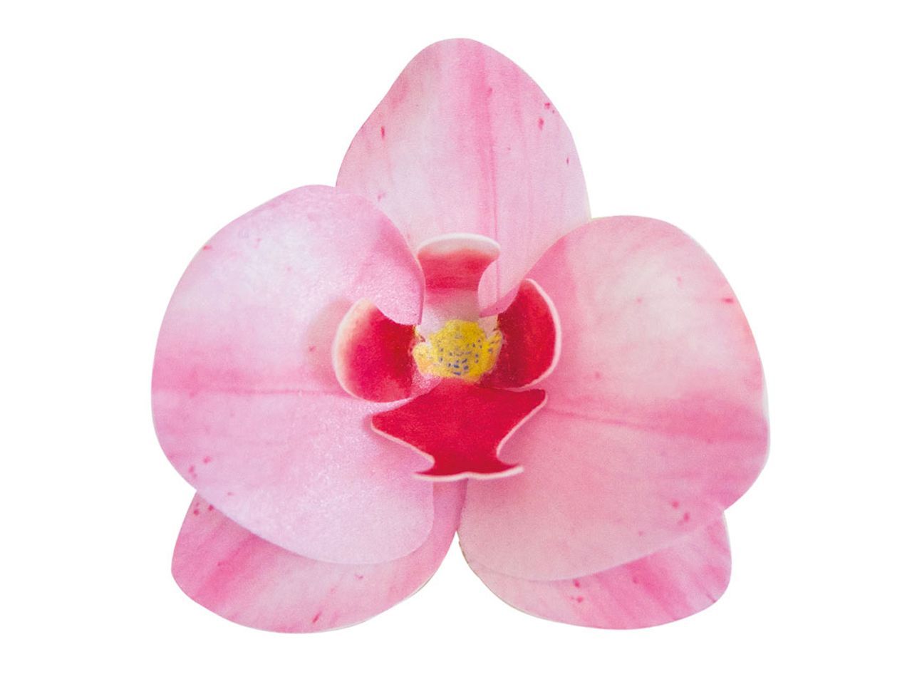 Wafer-Paper Orchidee pink 7,5-8,5cm 10 Stück von Dekora