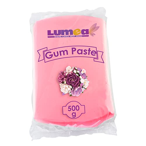 Dekozauber24 Profi Blütenpaste, 500g, essbar, 11 Farben, perfekt für Blumen, Blüten, Rüschen, feine Dekorationen, Zuckerpaste Tortendeko Fondant (Light Pink) von Dekozauber24