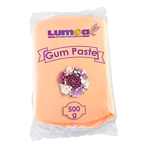 Dekozauber24 Profi Blütenpaste, 500g, essbar, 11 Farben, perfekt für Blumen, Blüten, Rüschen, feine Dekorationen, Zuckerpaste Tortendeko Fondant (Pfirsich) von Dekozauber24
