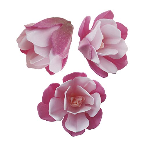Essbare Magnolien aus Oblate, 6er Pack, ca. 7cm groß, pink-weiß, Tortendeko Blumen Deko Blüten Essbare Magnolien aus Oblate, 6er Pack, ca. 7cm groß, pink-weiß, Tortendeko Blumen Deko Blüten von Dekozauber24
