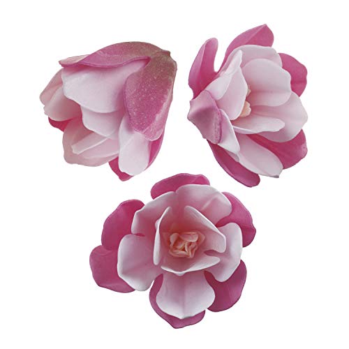 Essbare Magnolien aus Oblate, 6er Pack, ca. 7cm groß, pink-weiß, Tortendeko Blumen Deko Blüten von Dekozauber24