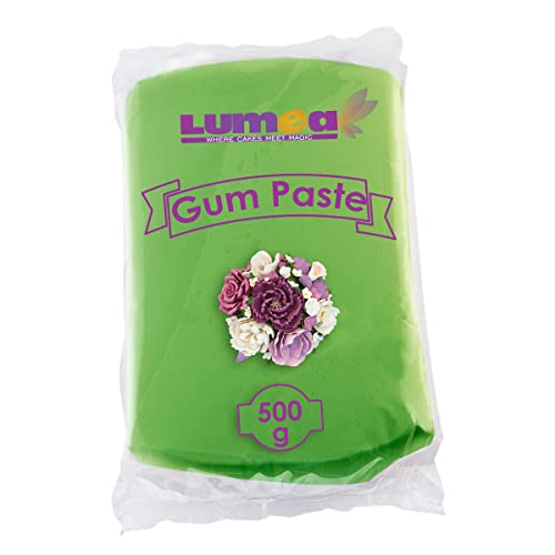 Profi Blütenpaste, 500g, essbar, 11 Farben, perfekt für Blumen, Blüten, Rüschen, feine Dekorationen, Zuckerpaste Tortendeko Fondant (Grün) von Dekozauber24