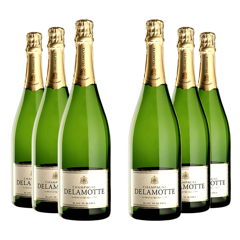 Delamotte : Blanc de Blancs Delamotte : Blanc de Blancs von Delamotte