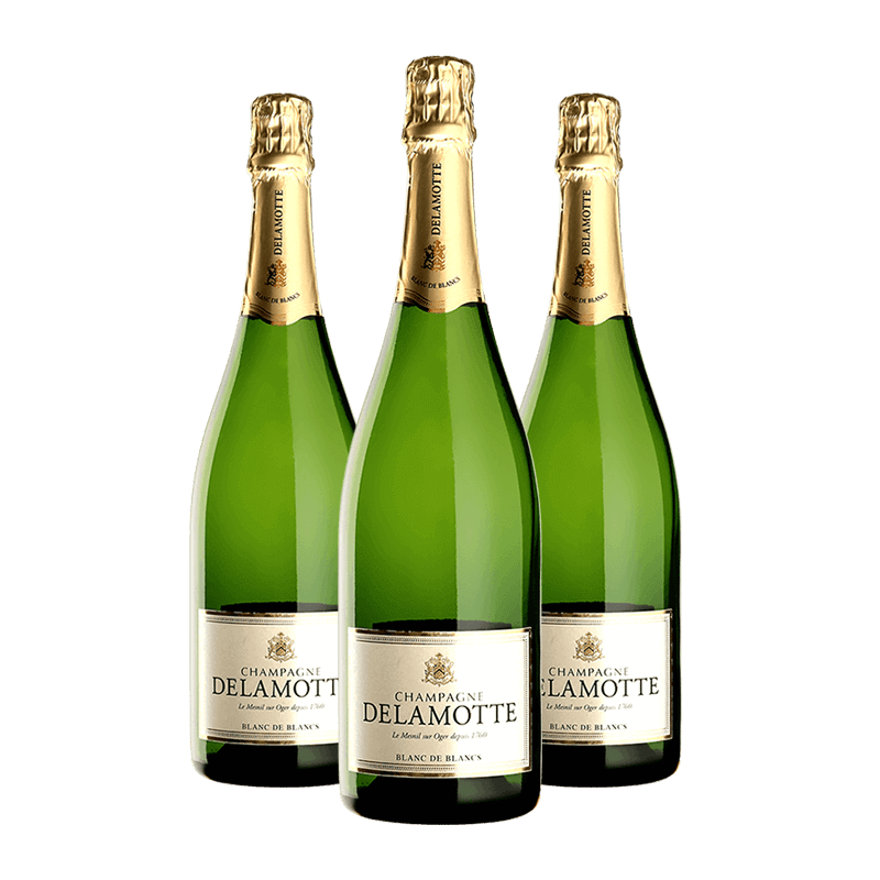 Delamotte : Blanc de Blancs von Delamotte