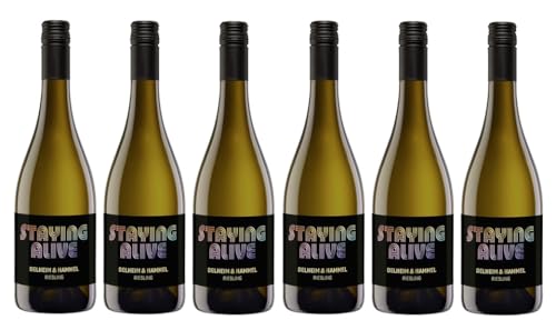 6x 0,75l - 2023er - Delheim & Hammel - Staying Alive - Riesling - Stellenbosch W.O. - Südafrika - Weißwein trocken 6x 0,75l - 2023er - Delheim & Hammel - Staying Alive - Riesling - Stellenbosch W.O. - Südafrika - Weißwein trocken von Delheim