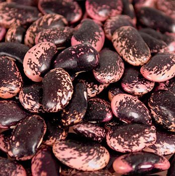Deli-Vinos Legumes Bohnen, Käferbohnen, groß, rot-schwarz-violett, getrocknet, aus Österreich, 1 kg Deli-Vinos Legumes Bohnen, Käferbohnen, groß, rot-schwarz-violett, getrocknet, aus Österreich, 1 kg von Deli-Vinos Legumes