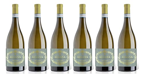 6x 0,75l - Delibori - Lugana D.O.P. - Veneto - Italien - Weißwein trocken von Delibori
