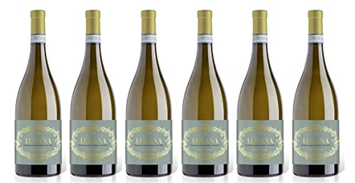 6x 0,75l - Delibori - Lugana D.O.P. - Veneto - Italien - Weißwein trocken 6x 0,75l - Delibori - Lugana D.O.P. - Veneto - Italien - Weißwein trocken von Delibori