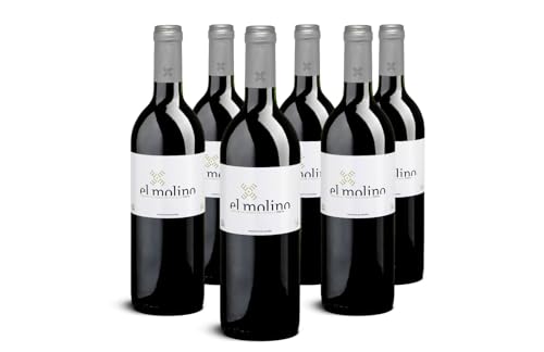 Bio Wein Rotwein Trocken Tempranillo Spanien La Mancha 2021 Vino de la Tierra de Castilla Vegan Histaminarm Säurearm (6 x 0,75 l) von Delinat