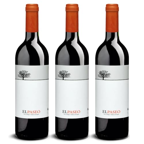DELINAT – El Paseo 2022 – Spanischer Rotwein trocken – Bio-Wein aus Navarra, vegan (3 x 0,75l) von Delinat
