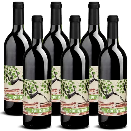 DELINAT – Sébastien Rouve carignan 2022 – Französischer Rotwein trocken – Bio-Wein aus dem Languedoc, vegan (6 x 0,75l) von Delinat