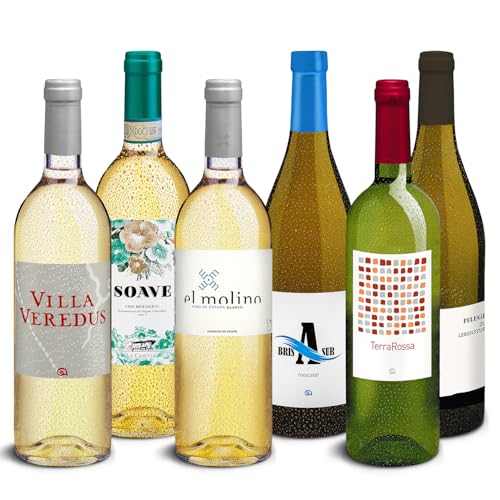 DELINAT – Wein Probierpaket Weißwein aus reicher Natur 2023 – Weißwein trocken, halbtrocken & lieblich – Weinset mit Bio Wein aus 4 Ländern, vegan (6 x 0,75l) von Delinat