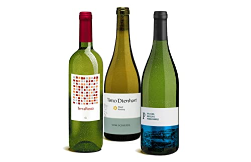 DELINAT – Weinpaket Best of Riesling, Probierpaket aus den Weinregionen Mosel, Pfalz, Rheinhessen, vegan, 3 Fl. Biowein à 0.75 l von Delinat
