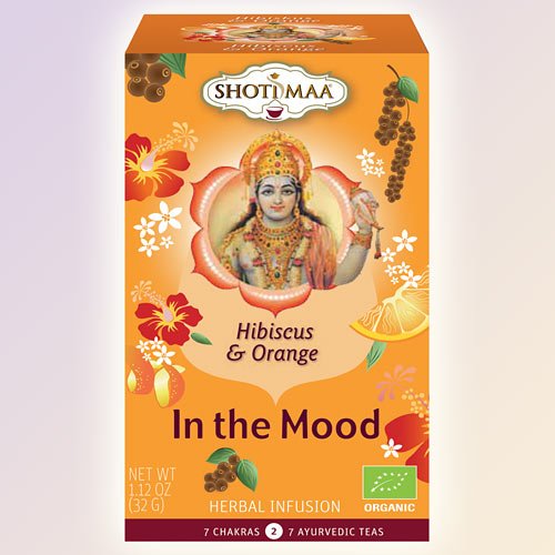 SHOTI MAA - Ayurvedische Bio Kräuter- und Gewürzteemischung mit Fruchtextrakt - 16 Beutel von Delizioso Shop