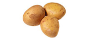 Früh-Kartoffeln Spunta, vorw. festkochend (1 kg) von Italien