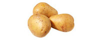 Früh-Kartoffeln Universa, festkochend (1 kg) von Italien