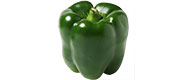 Paprika, grün Paprika, grün von Spanien
