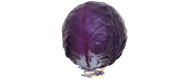 Rotkohl (1 kg) von Italien