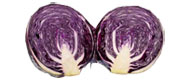 Rotkohl im Beutel von Deutschland