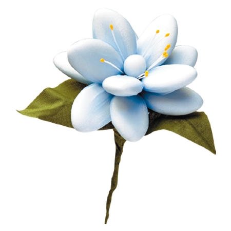 Dragee Schokoladen Blume - Amarylis von DiCarlo
