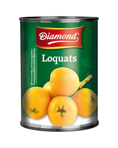 DIAMOND Loquats leicht gezuckert, für exotischen Fruchtsalat und Smoothies - 1 x 580 ml von Diamond