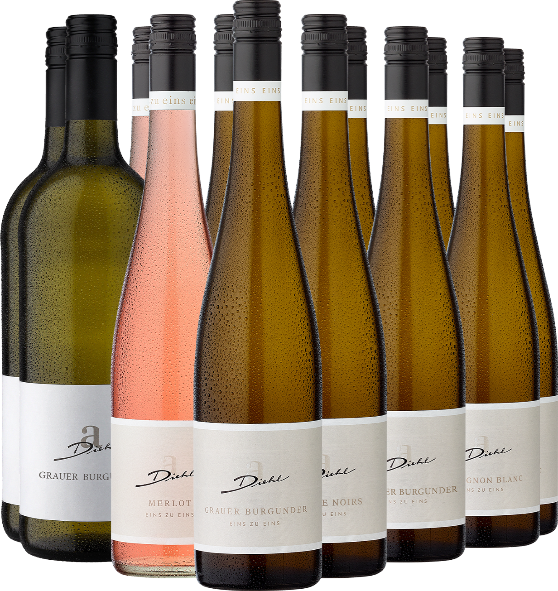 12er-Probierpaket »Weingut A. Diehl Bestseller« 12er-Probierpaket »Weingut A. Diehl Bestseller« von A. Diehl