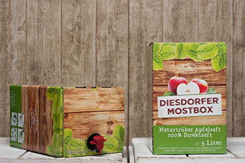 Diesdorfer Bio Apfelsaft naturtrüb vegan 100 % Direktsaft (1 x 5 L Bag-in-Box) von Diesdorfer