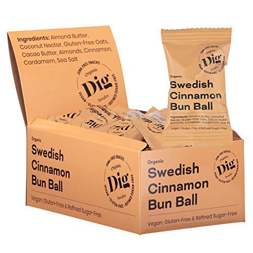 Dig/Get Raw - Schwedische Bio-Zimtschnecken-Kugel - Snacks aus natürlichen Bio-Zutaten - Vegan, glutenfrei und frei von Raffinadezucker (16x25g) von Dig