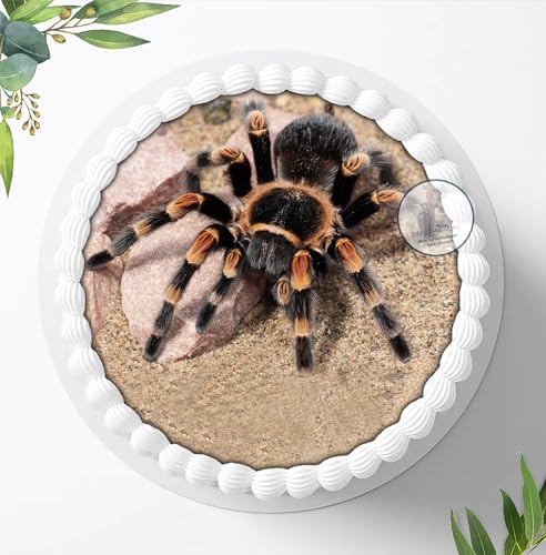 Spinnen, Vogelspinne, Essbares Foto für Torten, Tortenbild, Tortenaufleger Ø 20cm - Super Qualität, 1179a Spinnen, Vogelspinne, Essbares Foto für Torten, Tortenbild, Tortenaufleger Ø 20cm - Super Qualität, 1179a von Digital-on