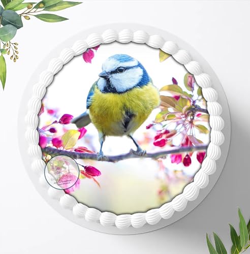 Vögel Tortenaufleger Tortenbild Geburtstag Fondant Zuckerpapier 5612 von Digital-on