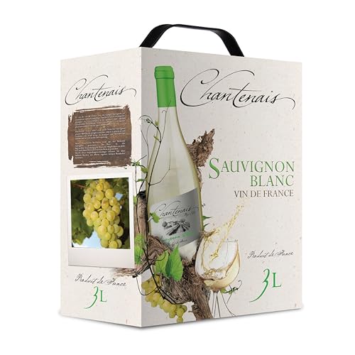 Dineart Chantenais Sauvignon Blanc fruchtiger französischer Weisswein Bag Trocken (1 x 3 l) von Dineart