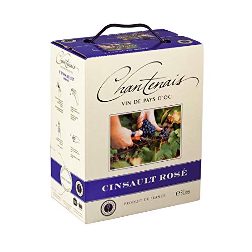 Dineart Chantenais fruchtiger französischer Rosé Wein Bag in Box Cinsaut Trocken (1 x 3 l) von CHANTENAIS