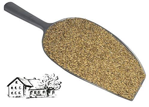 Dinkel 5 kg (Urdinkel) direkt vom Dinkelhof Horstmann, aktuelle Ernte 2024 von Dinkelhof Horstmann