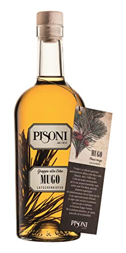 Latschenkiefer Grappa - Pisoni Latschenkiefer Grappa - Pisoni von Pisoni