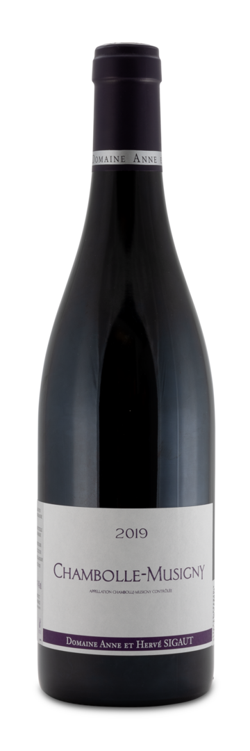 2019 Chambolle-Musigny AC 2019 Chambolle-Musigny AC von Domaine Sigaut
