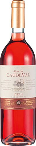 Domaine Caude Val Rosé de Syrah Pays d'Oc IGP 2023 (1 x 0.750 l) von Domaine Caude Val