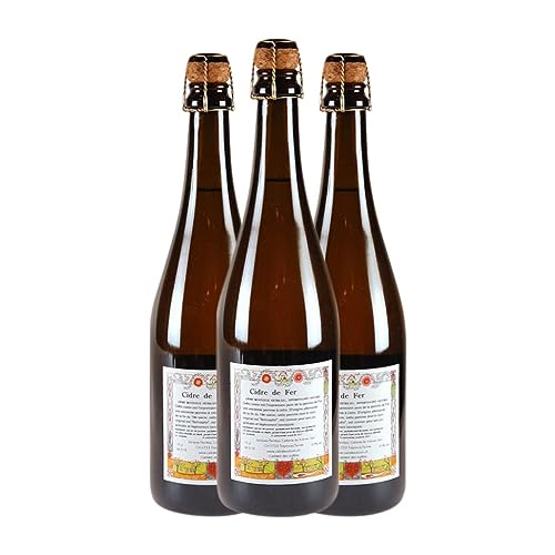 Cidre Cidrerie du Vulcain Cidre de Fer Mosseux Extra Trocken 75 cl (Schachtel mit 3 Flaschen von 75 cl)