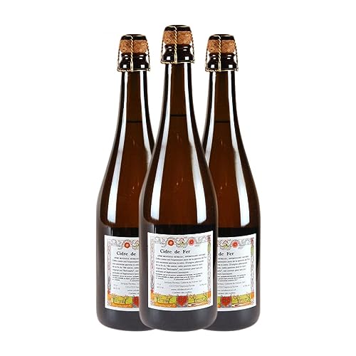 Cidre Cidrerie du Vulcain Cidre de Fer Mosseux Extra Trocken 75 cl (Schachtel mit 3 Flaschen von 75 cl) von Domaine Cidrerie du Vulcain