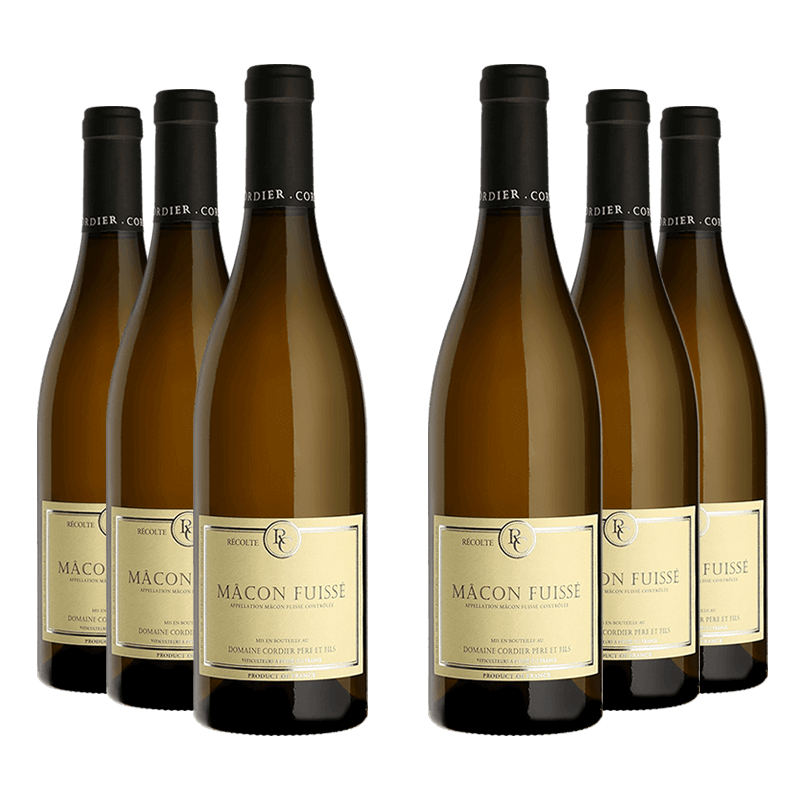 Domaine Cordier Père et Fils : Mâcon-Fuissé 2021 Domaine Cordier Père et Fils : Mâcon-Fuissé 2021 von Domaine Cordier Père et Fils